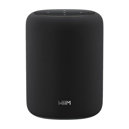 WiiM Sound Lite Smart-Lautsprecher, schwarz in der Gruppe Heim-Audio / Lautsprecher / Smarte Lautsprecher bei BRL (312WIIMSOUNDLITEB)