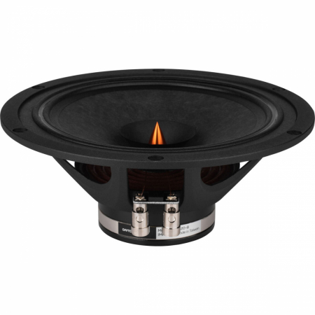 Dayton Audio PS220-8, 8-Zoll Point-Source-Vollbereichslautsprecher in der Gruppe Heim-Audio / Selbstbau / Lautsprecherchassis bei BRL (860PS2208)