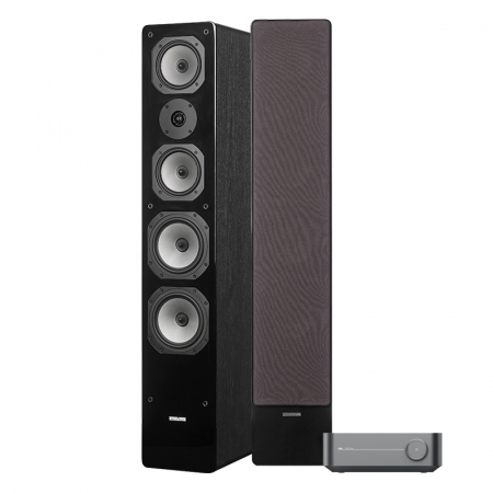 WiiM Amp & Dynavoice Challenger M-65, Stereo-Set in der Gruppe Bundles / Heimpakete / Stereo-Sets bei BRL (SETWIIMAMPPKT1)