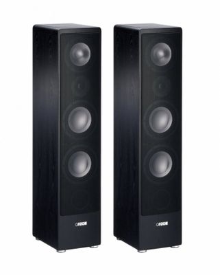 Canton Ergo 690DC Standlautsprecher Schwarz Esche