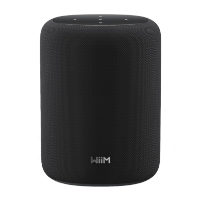 WiiM Sound Lite Smart-Lautsprecher, schwarz