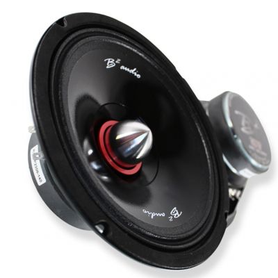 B² Audio RIOT 8P, 8-Zoll-Midbass