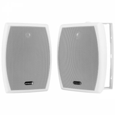 Dayton Audio IO655WT, 6.5-Zoll-Außenlautsprecher mit 70/100V-Unterstützung, weiß