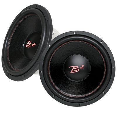 2er-Pack B2 AUDIO RIOT D4 12 Zoll