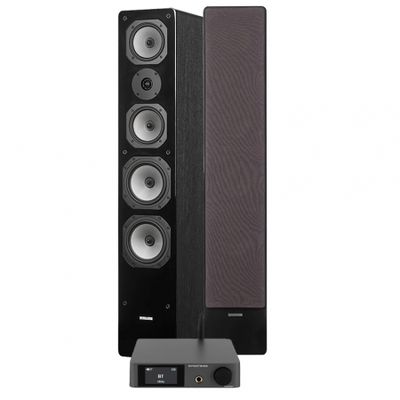 Dynavoice CA802BT & Challenger M-65, Stereo-Paket