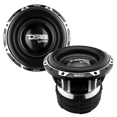 2er-Pack DS18 HOOLIGAN-X12.1DHE, unglaublich schwerer 12-Zoll-Bass