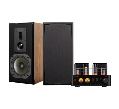 Dayton Audio HTA100 & Dynavoice DM-6II in Eiche, Stereo-Set