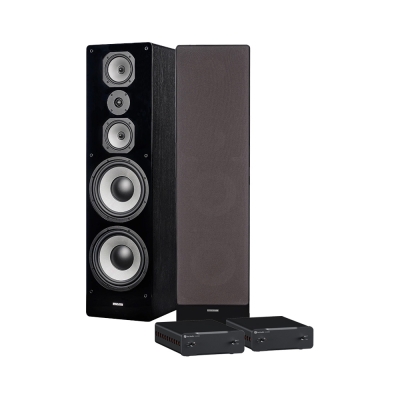 Dynavoice Challenger M-105 mit doppelten Fosi Audio-Monoblöcken, Stereo-Paket