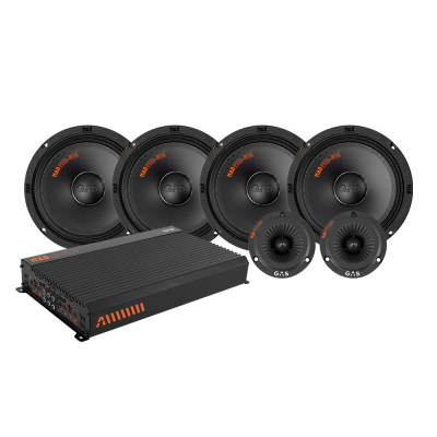 4er-Pack GAS MAD PM2-64S mit PT1-254 und Endstufe, SPL-Paket