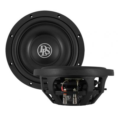 2er-Pack DLS Reference RCS10.D2, schlanker 10-Zoll-Bass