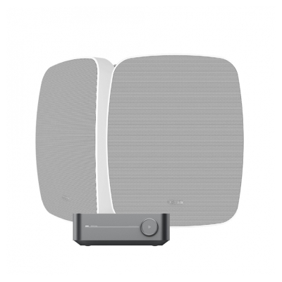 Wiim Amp Pro mit Klipsch RSM-650, Outdoor-Paket in Weiß