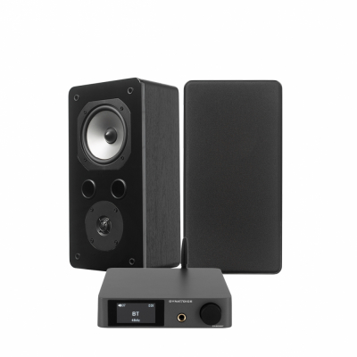 Dynavoice CA802BT & Challenger S-5S, Stereo-Paket