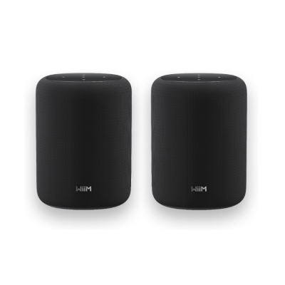 2er-Pack WiiM Sound Lite Smart-Lautsprecher, schwarz