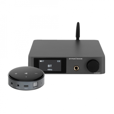 Dynavoice CA802BT mit WiiM Mini Netzwerk-Streamer