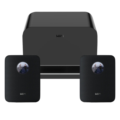 2er-Pack WiiM Sound mit WiM Sub Pro, schwarz
