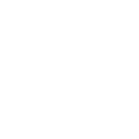DLS Logo in Wei&szlig;.