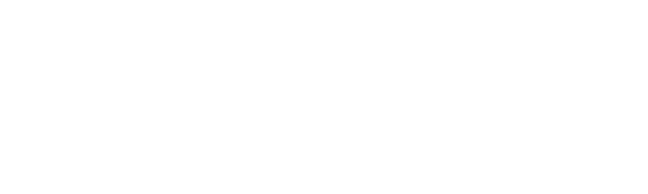 NIZLED Logo in Wei&szlig;.