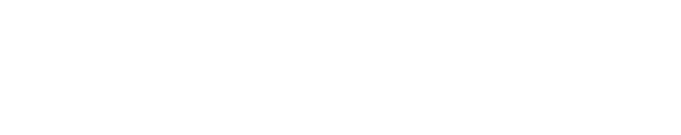 Proson Logo in Wei&szlig;.