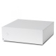 Pro-Ject Amp Box DS2, Endstufe silber Pro-Ject Amp Box DS2, Endstufe silber