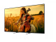 Sony Bravia 5 55 Sony Bravia 5 55