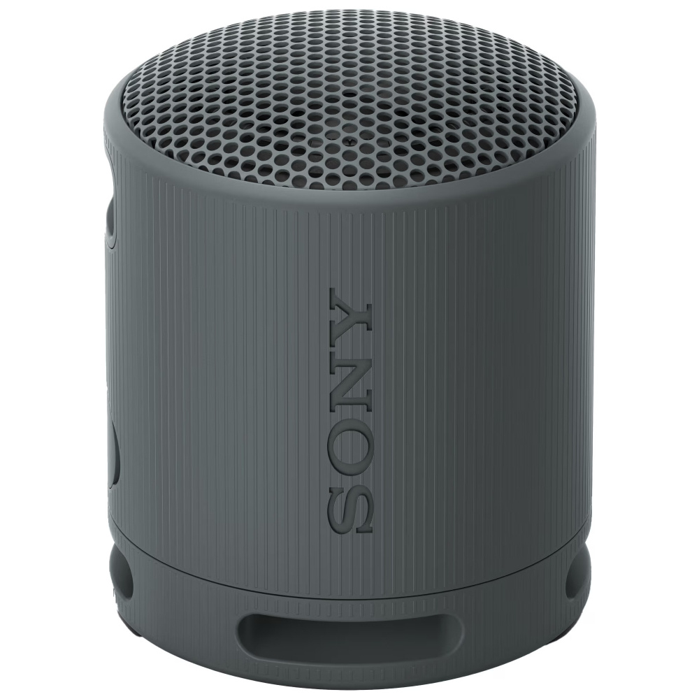 Sony SRS-XB100, tragbarer Lautsprecher, schwarz
