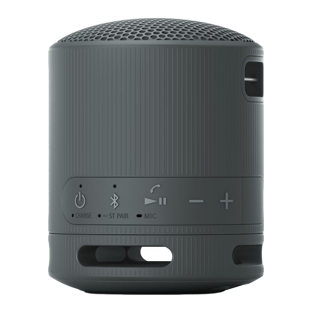 Sony SRS-XB100, tragbarer Lautsprecher, schwarz