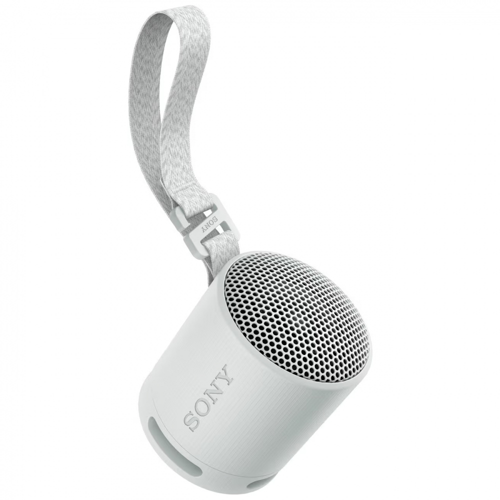 Sony SRS-XB100, tragbarer Lautsprecher, grau