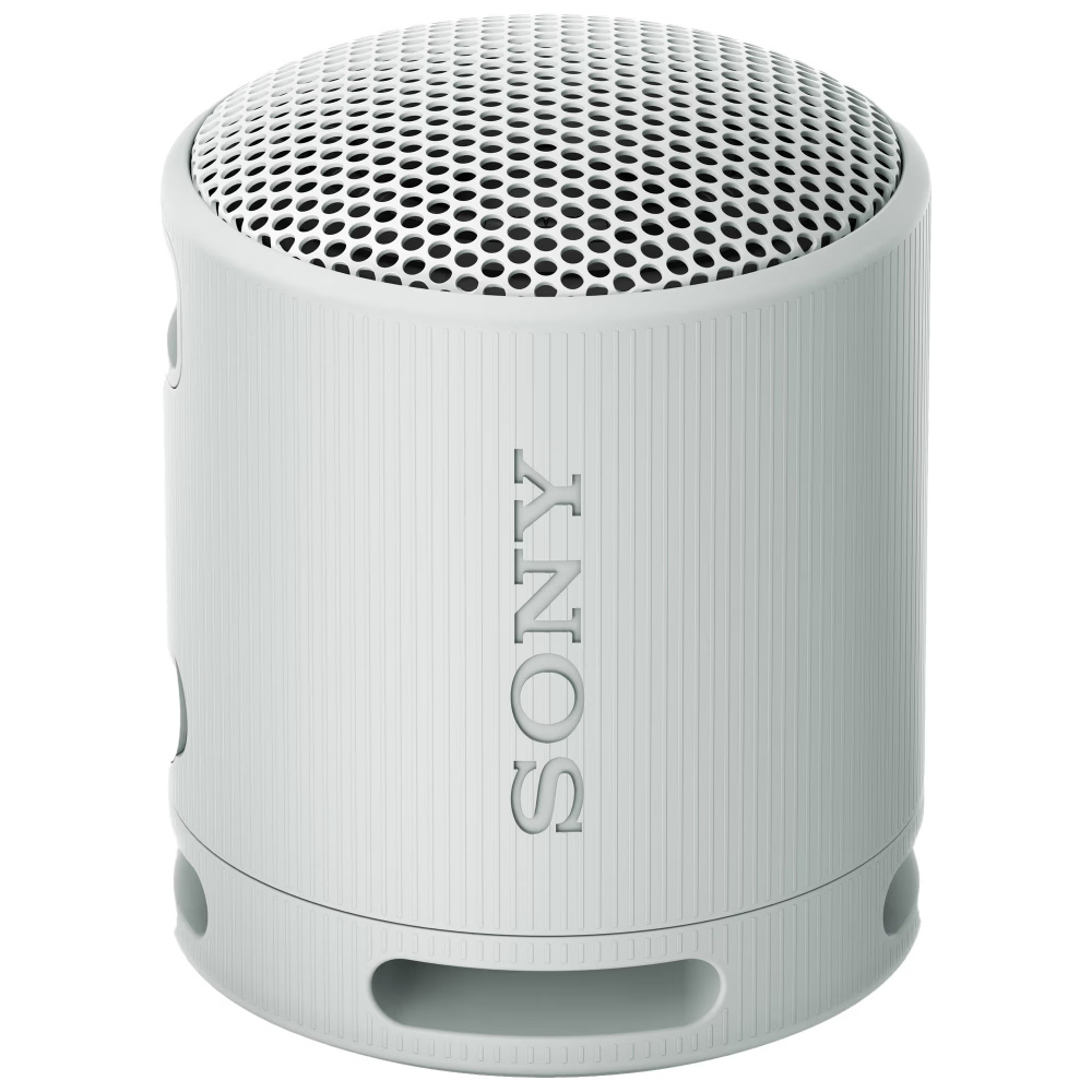 Sony SRS-XB100, tragbarer Lautsprecher, grau