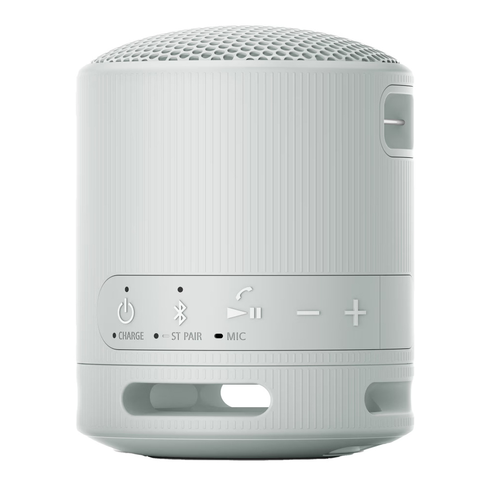 Sony SRS-XB100, tragbarer Lautsprecher, grau
