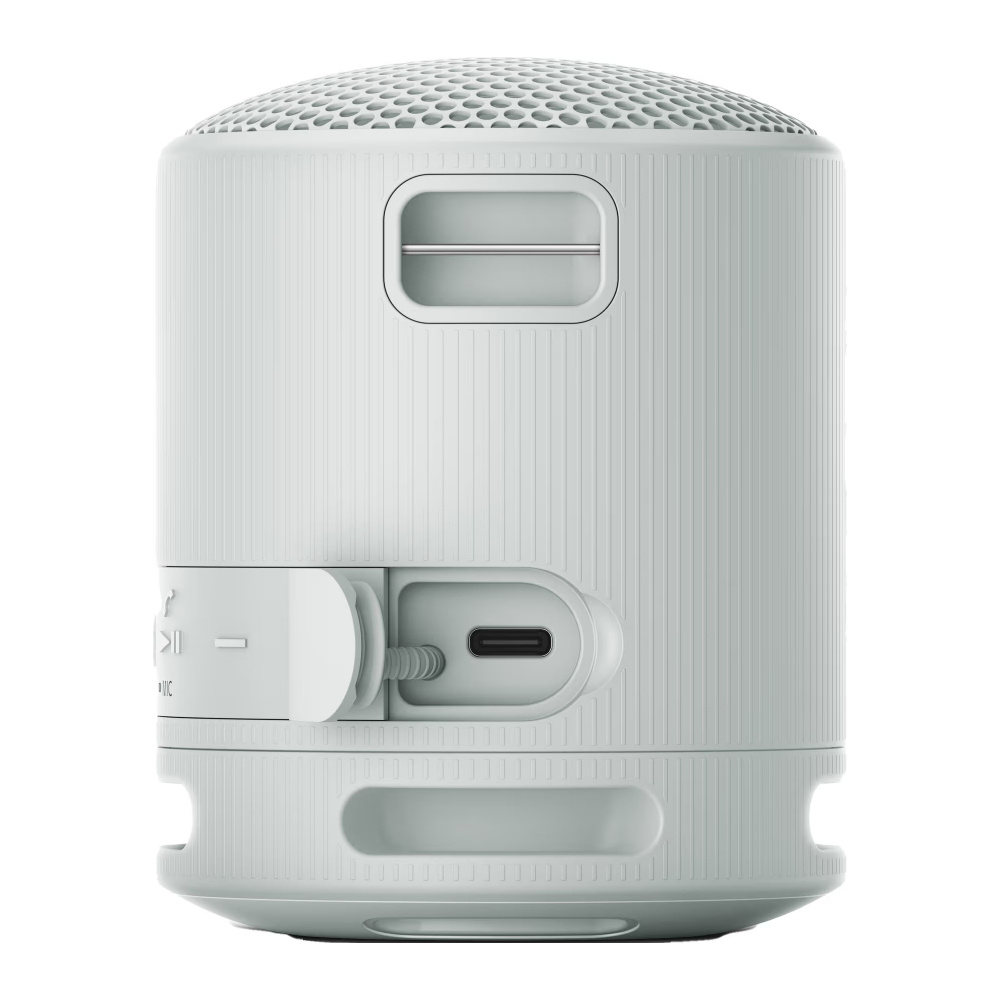 Sony SRS-XB100, tragbarer Lautsprecher, grau