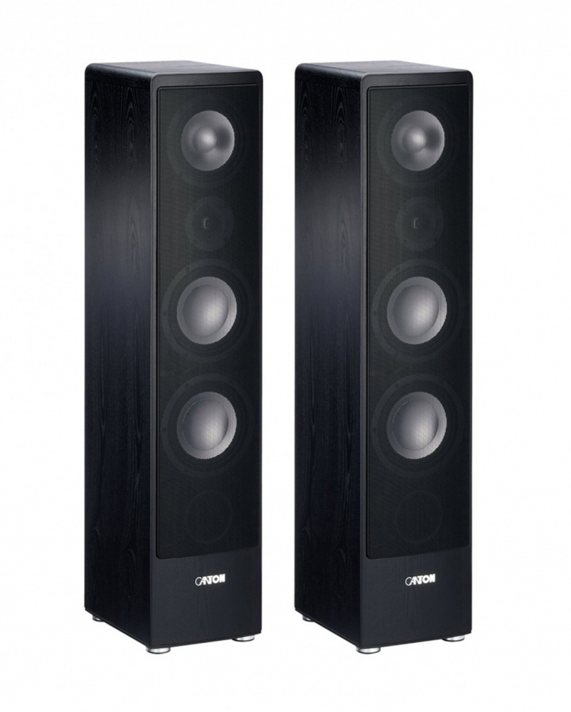 Canton Ergo 690DC Standlautsprecher Schwarz Esche