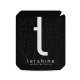 Tershine P-Skiva / Eiskratzer Tershine P-Skiva / Eiskratzer