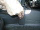 Brodit ProClip, Hummer H3 05-11 Brodit ProClip, Hummer H3 05-11