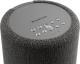 Audio Pro A10 MKII aktiver WLAN-Lautsprecher, dunkelgrau Stück Audio Pro A10 MKII aktiver WLAN-Lautsprecher, dunkelgrau Stück