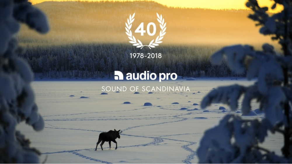Audio Pro A36 Standlautsprecher mit WLAN & Bluetooth, schwarzes Paar