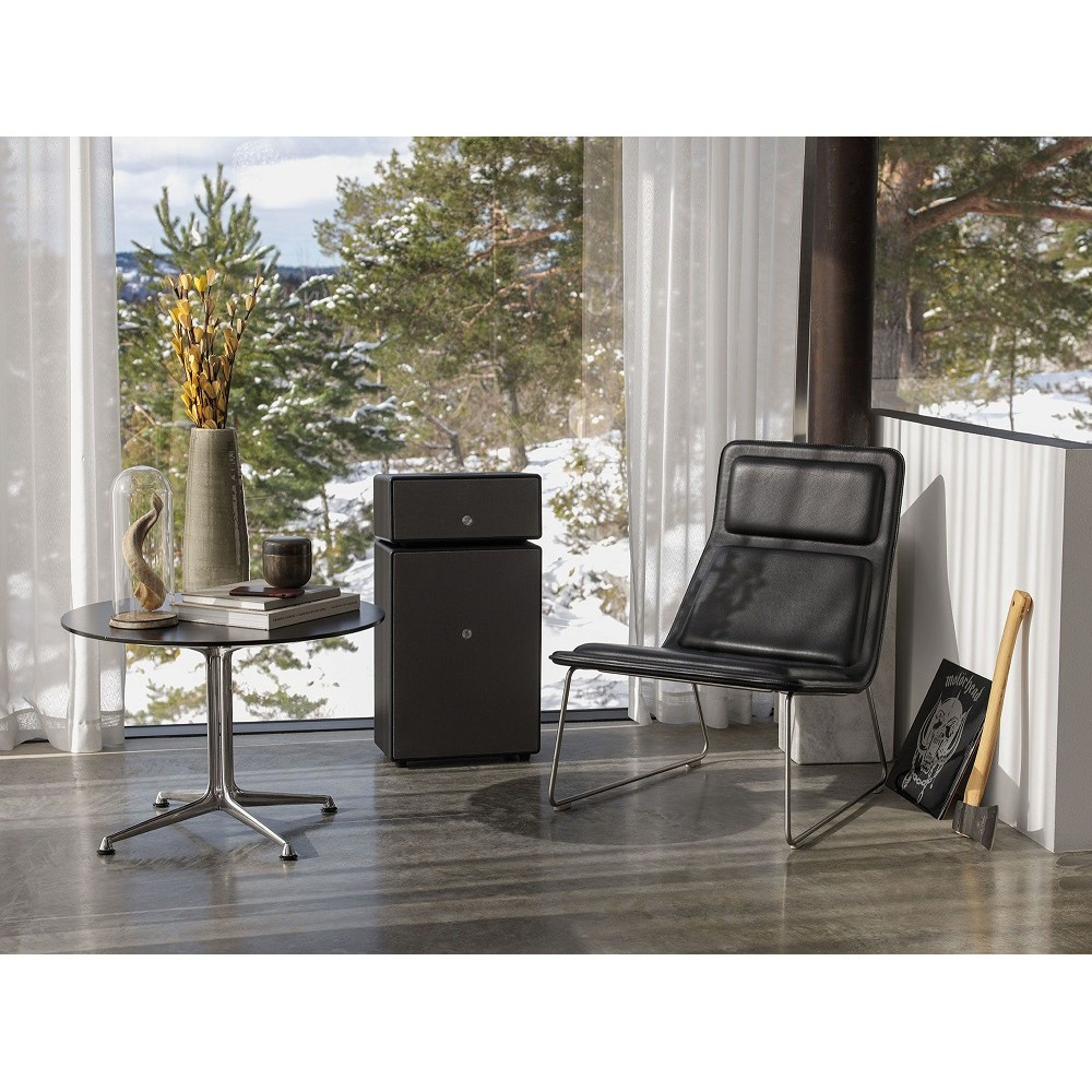 Audio Pro Drumfire II W Wi-Fi-Lautsprecher mit Google Cast & AirPlay 2, schwarz