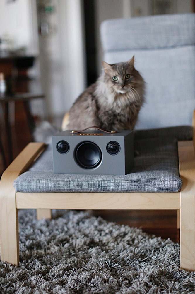 Audio Pro Addon T3+, Bluetooth-Lautsprecher