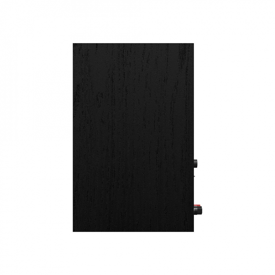 Klipsch R-40PM aktiver Lautsprecher mit Bluetooth, schwarzes Paar