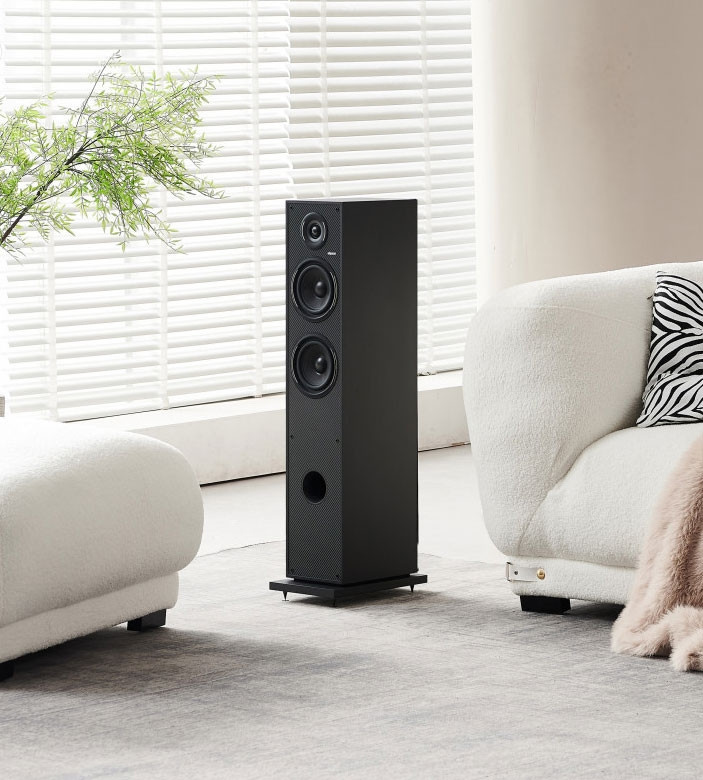 Elipson Horus 11F Standlautsprecher Black/Carbon, Paar