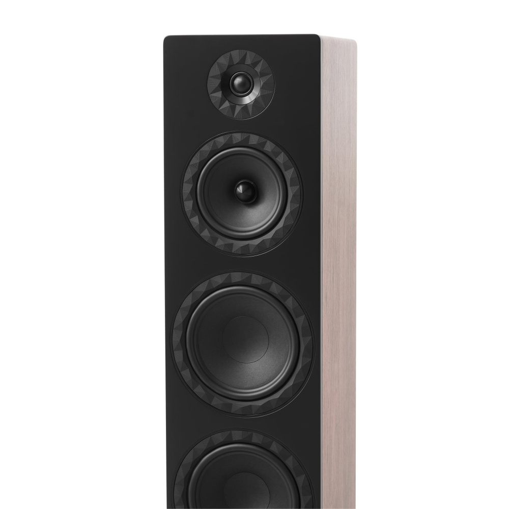 Elipson Prestige Facet II 24F Standlautsprecher, Nussbaum, Paar