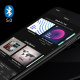 Lithe Audio Bluetooth 6.5 Lithe Audio Bluetooth 6.5