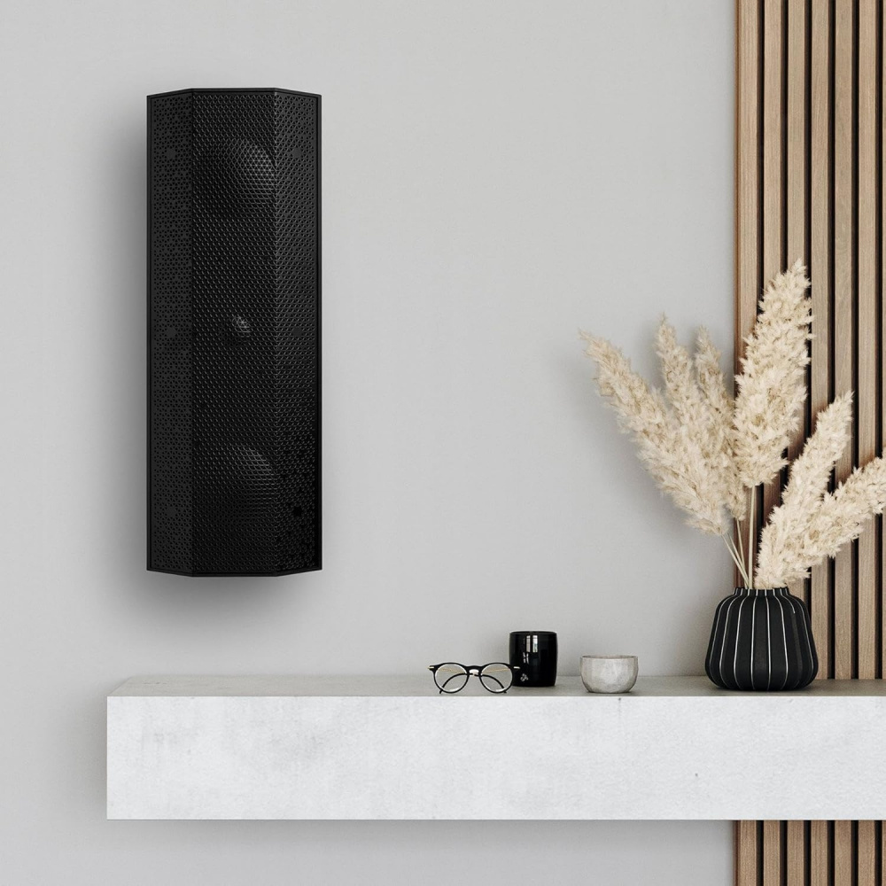 Lithe Audio iO1 Passive, vielseitiger passiver Lautsprecher, schwarz