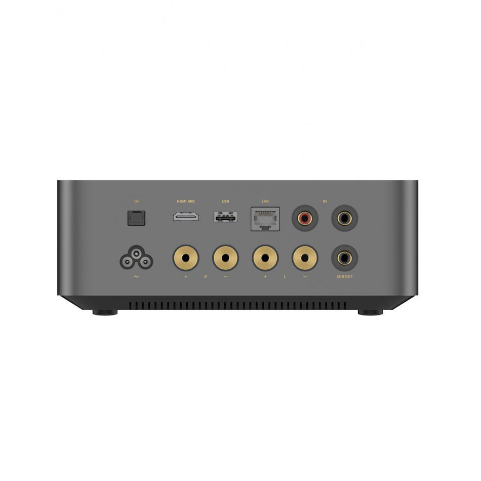 Wiim Amp Ultra Streaming-Verstärker mit HDMI ARC & Chromecast, dunkelgrau