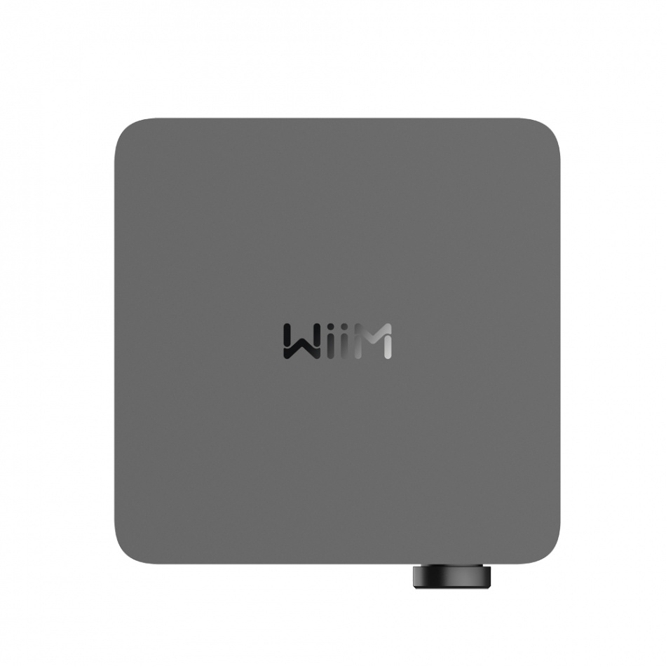 Wiim Amp Ultra Streaming-Verstärker mit HDMI ARC & Chromecast, dunkelgrau