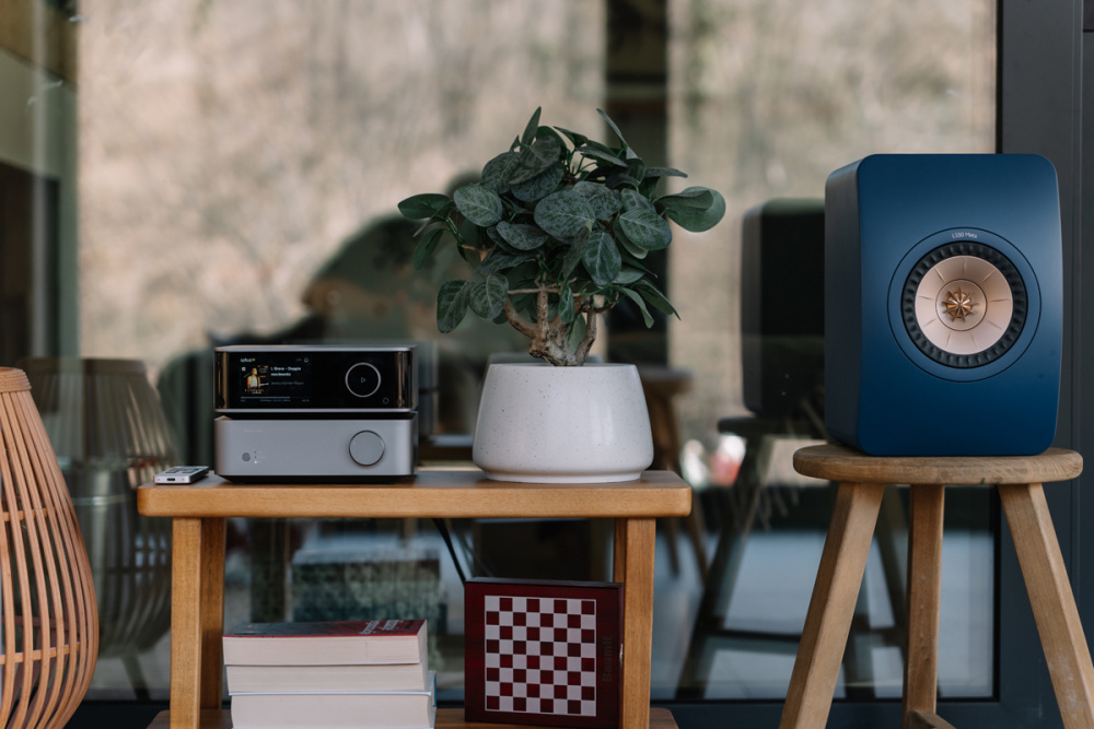 WiiM Vibelink Amp Stereo-Verstärker mit DAC, Space Gray