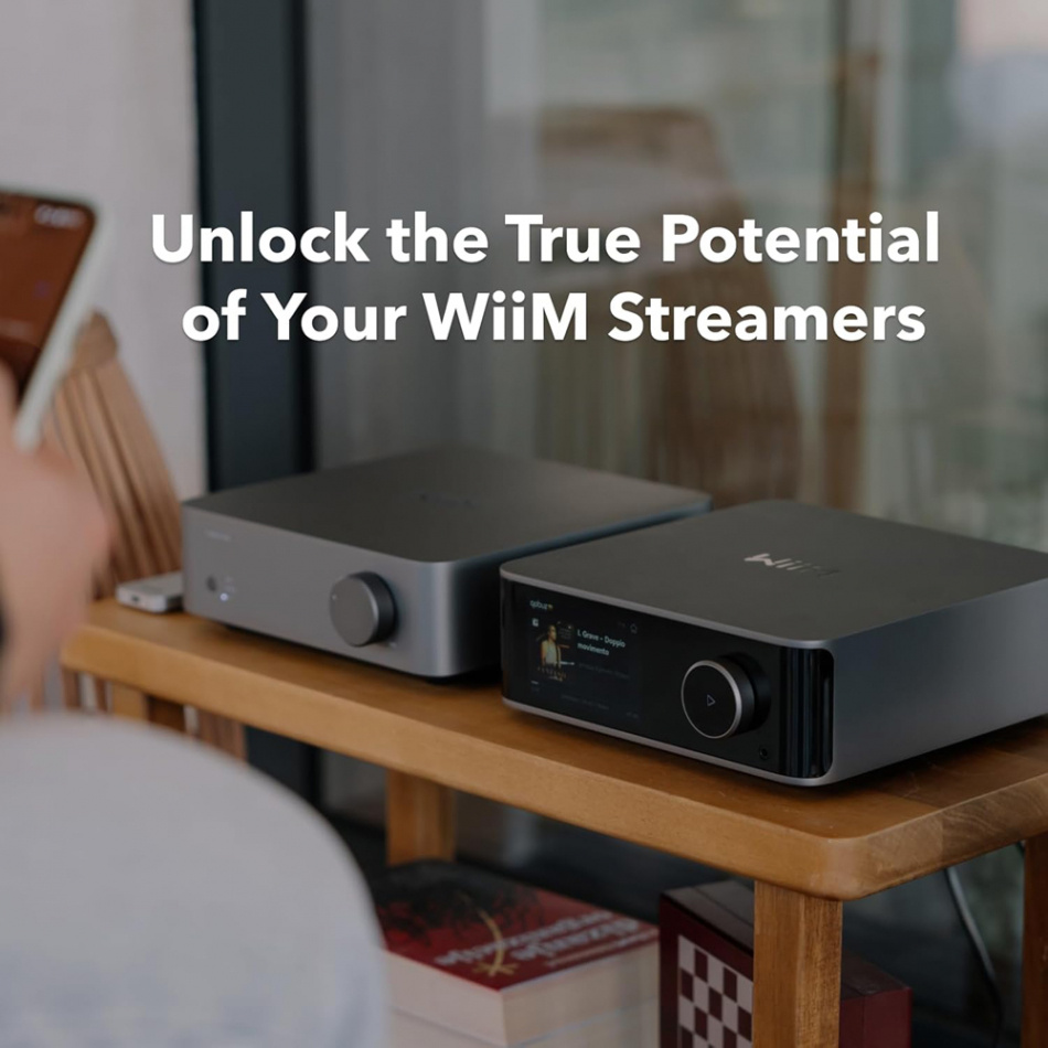 WiiM Vibelink Amp Stereo-Verstärker mit DAC, Space Gray