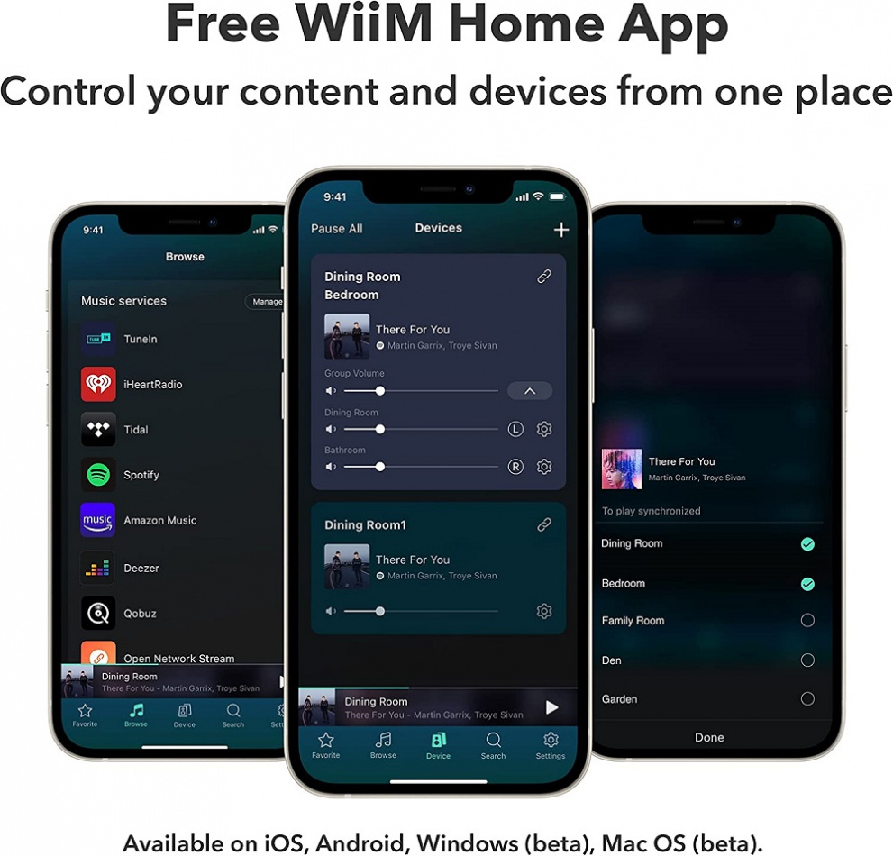 WiiM Pro Plus, kabelloser Netzwerk-Streamer mit Tidal Connect, Chromecast & AirPlay 2