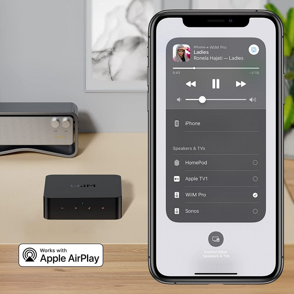 WiiM Pro, kabelloser Netzwerk-Streamer mit Tidal Connect, Chromecast & AirPlay 2
