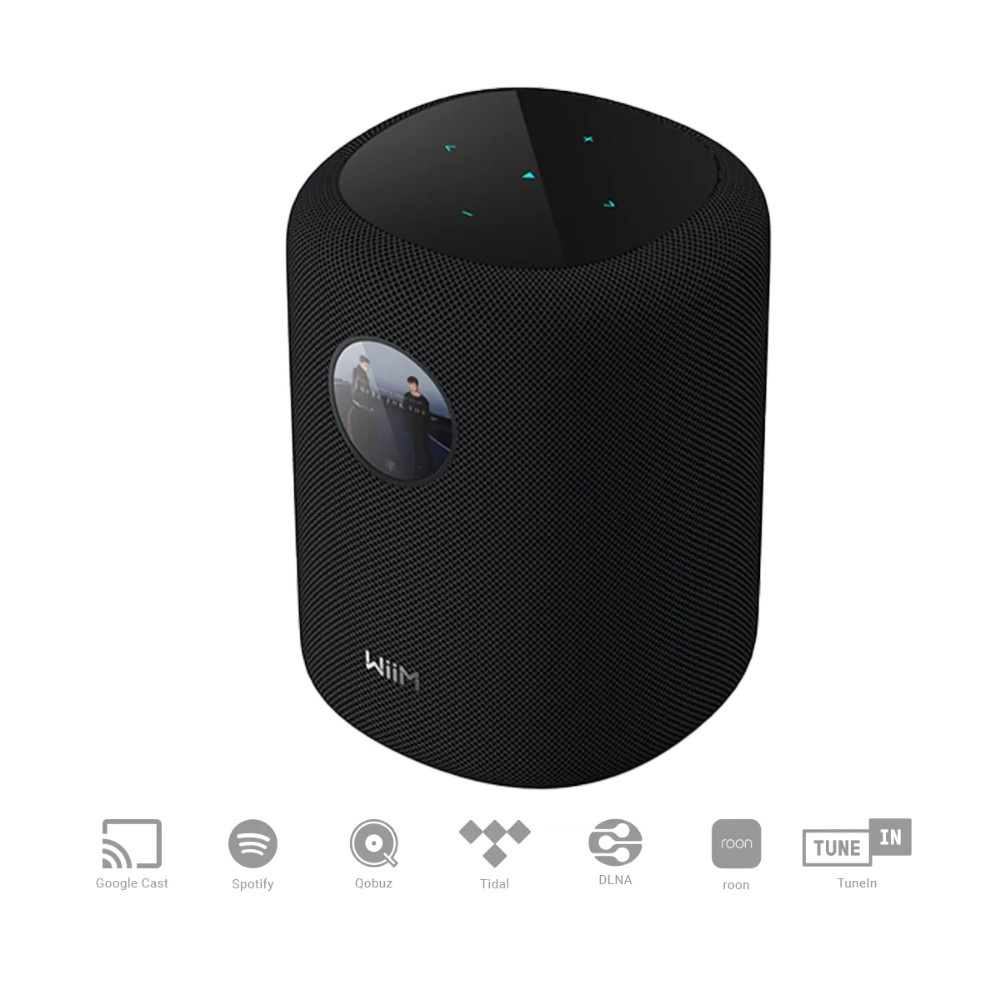 WiiM Sound Smart-Lautsprecher mit Display, schwarz