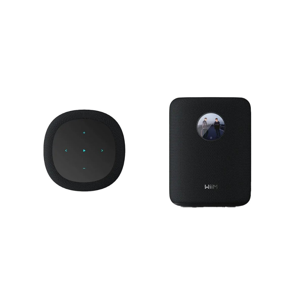 WiiM Sound Smart-Lautsprecher mit Display, schwarz